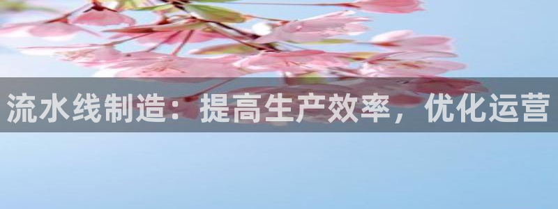 彩神vl购彩大厅：流水线制造：提高生产效率，优化运营