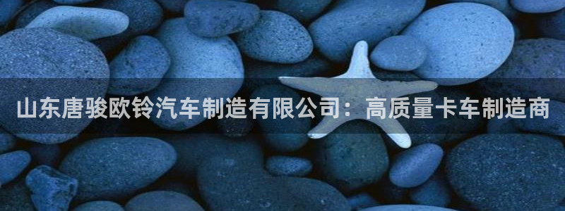 彩神V集团公司：山东唐骏欧铃汽车制造有限公司：高质量卡车制造商