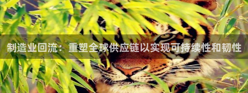 彩神是真的吗：制造业回流：重塑全球供应链以实现可持续性和韧性