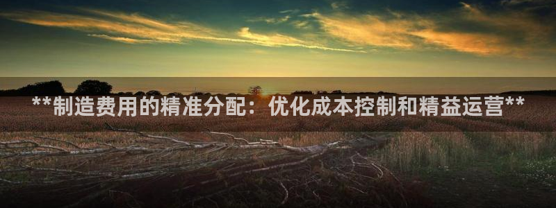 彩神8官网500：**制造费用的精准分配：优化成本控制和精益运营**
