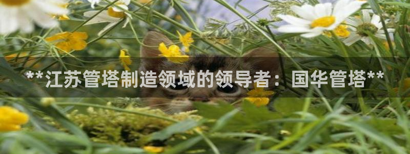 彩神v1官网：**江苏管塔制造领域的领导者：国华管塔**