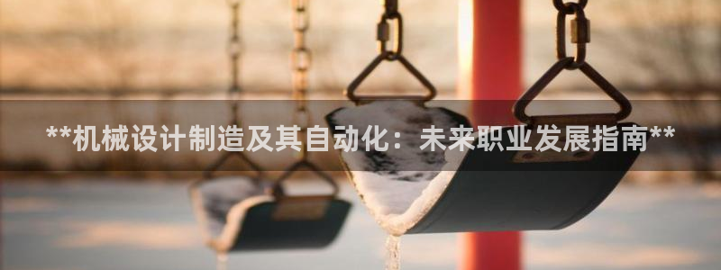 彩神v集团有限公司：**机械设计制造及其自动化：未来职业发展