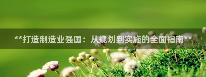 彩神VII官方版：**打造制造业强国：从规划到实施的全面指南**