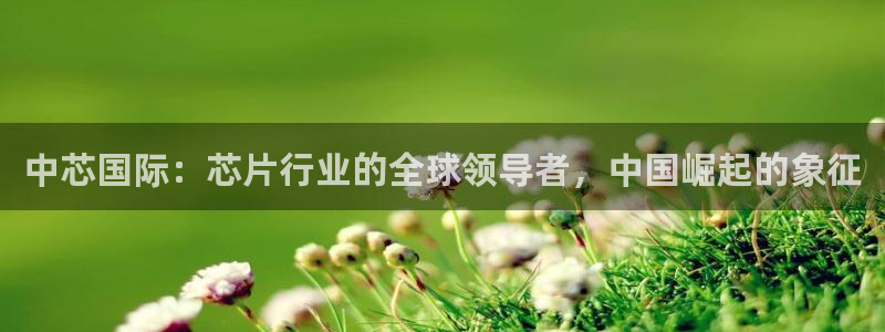 彩神的邀请码是多少：中芯国际：芯片行业的全球领导者，中国崛起的象征