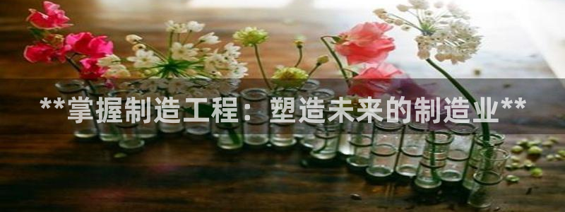 彩神vii购彩l心：**掌握制造工程：塑造未来的制造业**