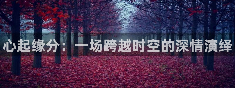 彩神vip购彩：心起缘分：一场跨越时空的深情演绎