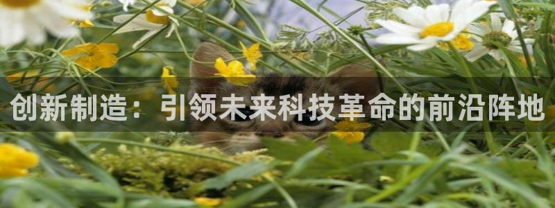 彩神v8iii：创新制造：引领未来科技革命的前沿阵地