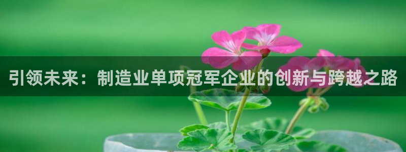 v大发彩神8iii：引领未来：制造业单项冠军企业的创新与跨越之路