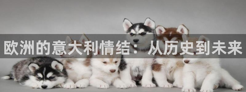 新版彩神v8登录不了：欧洲的意大利情结：从历史到未来