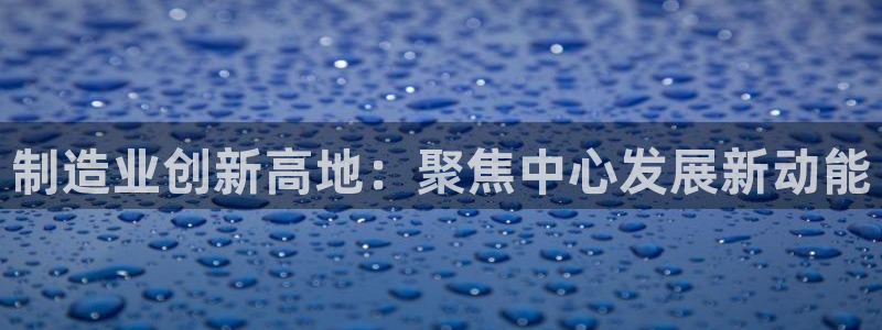 大发彩神官网下载：制造业创新高地：聚焦中心发展新动能