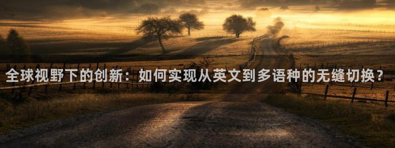 彩神vip购彩大厅在哪：全球视野下的创新：如何实现从英文到多