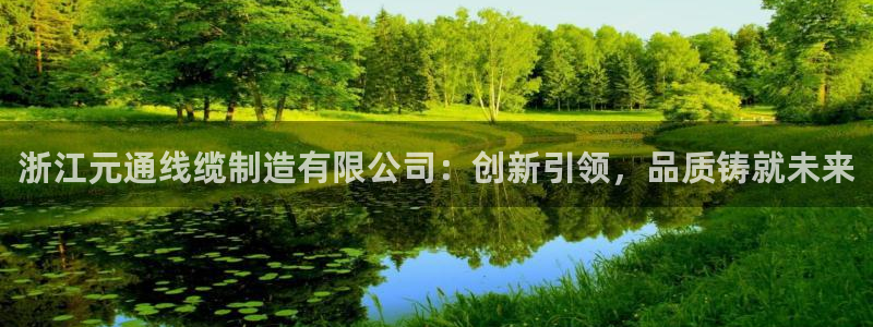 彩神输的钱是赌博还是诈骗：浙江元通线缆制造有限公司：创新引领，品质铸就未来