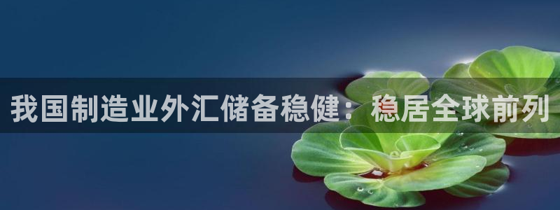 彩神可以提现吗：我国制造业外汇储备稳健：稳居全球前列
