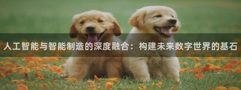 彩神iv真的能赚钱吗：人工智能与智能制造的深度融合：构建未来数字世界的基石