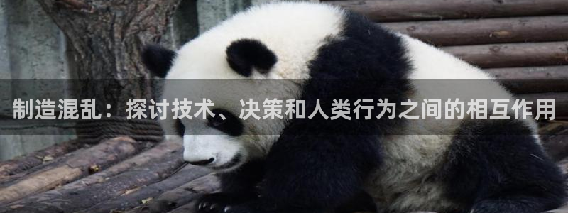彩神vll首页环球：制造混乱：探讨技术、决策和人类行为之间的相互作用