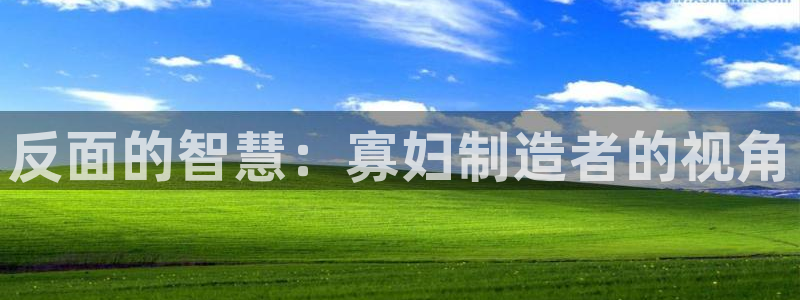 彩神ix可靠吗：反面的智慧：寡妇制造者的视角