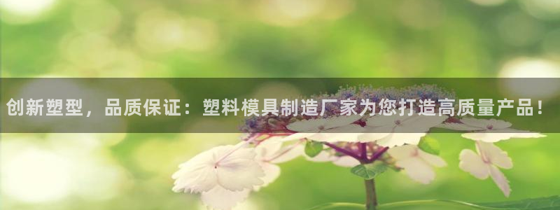彩神8彩平台：创新塑型，品质保证：塑料模具制造厂家为您打造高