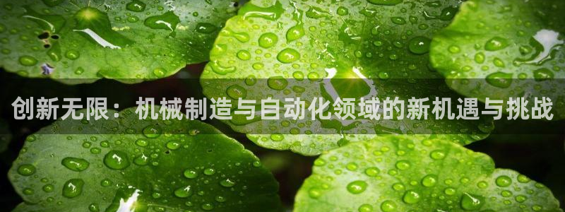 彩神V购彩大厅：创新无限：机械制造与自动化领域的新机遇与挑战