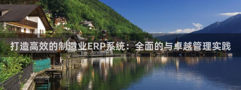 彩神旗下有哪些平台可以看：打造高效的制造业ERP系统：全面的与卓越管理实践