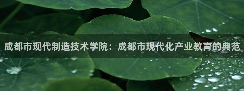 下载彩神争霸谁与我争锋：成都市现代制造技术学院：成都市现代化产业教育的典范