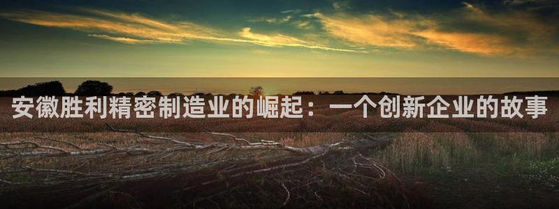 彩神vii购彩l心：安徽胜利精密制造业的崛起：一个创新企业的
