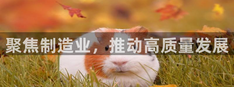 彩神x平台靠什么盈利