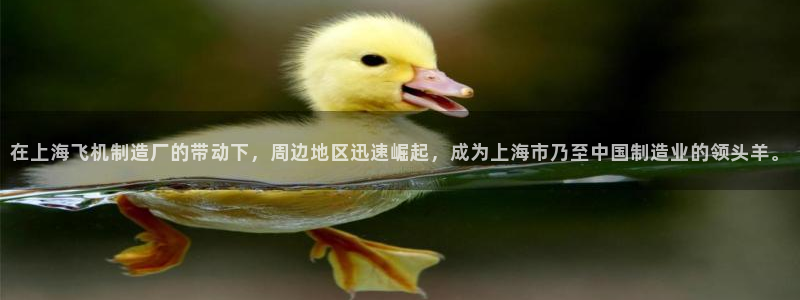 彩神大发是不是人为操作：在上海飞机制造厂的带动下，周边地区迅速崛起，成为上海市乃至中国制造业的领头羊。