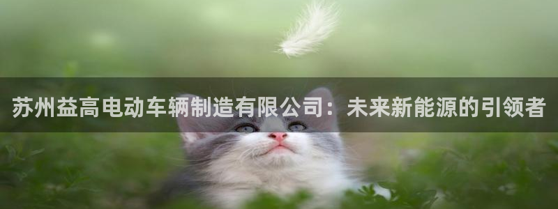 彩神大发云