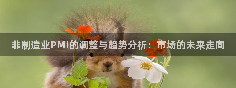 下载彩神乐发V1：非制造业PMI的调整与趋势分析：市场的未来走向
