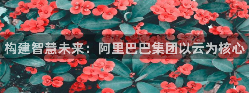 彩神8软件下载