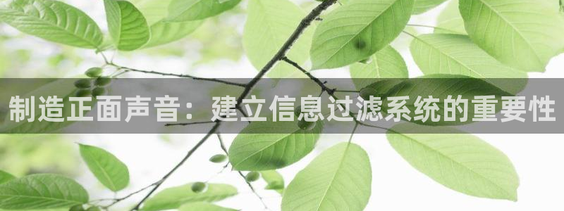 彩神8是正规平台吗安全吗：制造正面声音：建立信息过滤系统的重要性