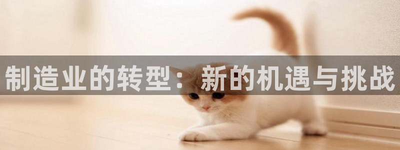彩神输的钱是赌博还是诈骗：制造业的转型：新的机遇与挑战