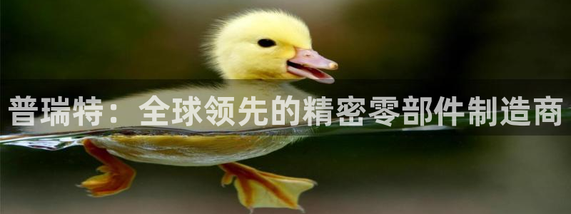 彩神的邀请码是多少：普瑞特：全球领先的精密零部件制造商