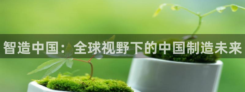 彩神8彩平台官网：智造中国：全球视野下的中国制造未来