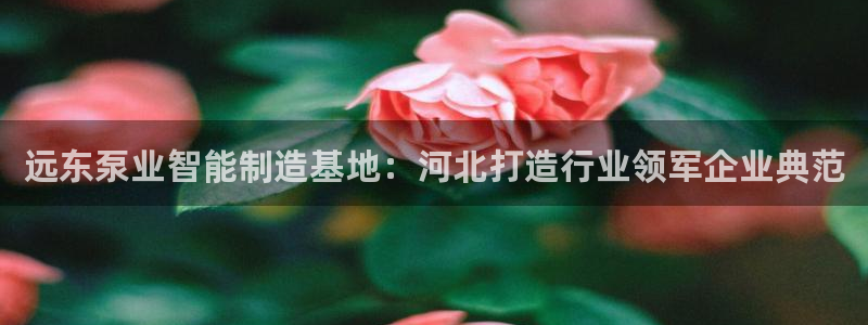 新版彩神v8登录不了：远东泵业智能制造基地：河北打造行业领军企业典范