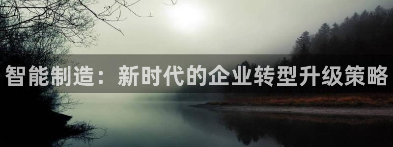 彩神VII官方版：智能制造：新时代的企业转型升级策略
