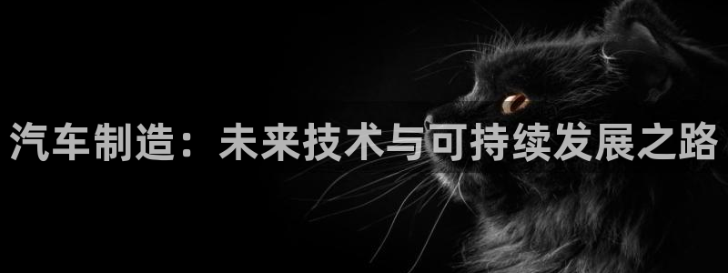 彩神通官方网：汽车制造：未来技术与可持续发展之路