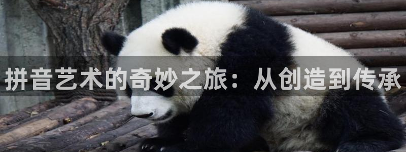 彩神系列平台：拼音艺术的奇妙之旅：从创造到传承