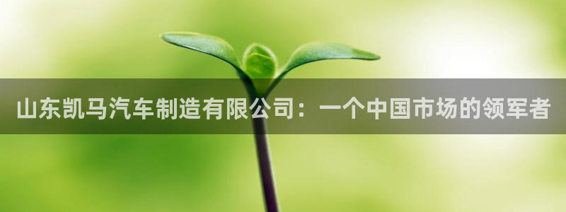 所有彩神购买首页：山东凯马汽车制造有限公司：一个中国市场的领军者