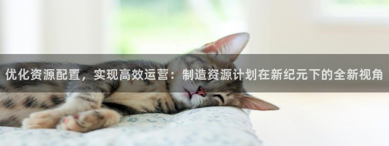 彩神v违法么：优化资源配置，实现高效运营：制造资源计划在新纪元下的全新视角