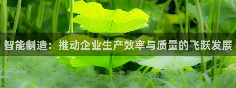 彩神购彩-购彩大厅入口计划群：智能制造：推动企业生产效率与质量的飞跃发展