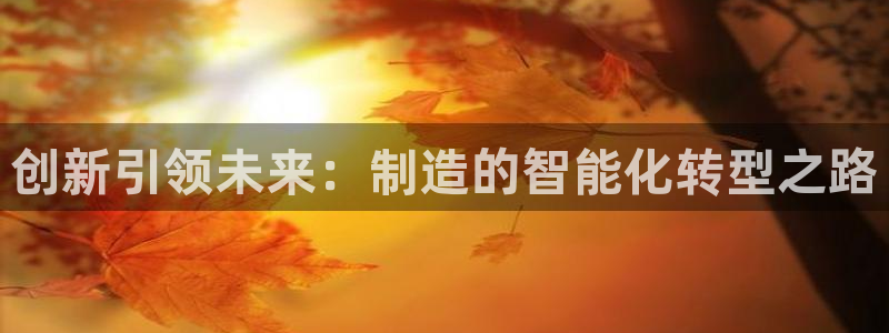 彩神VI首页：创新引领未来：制造的智能化转型之路