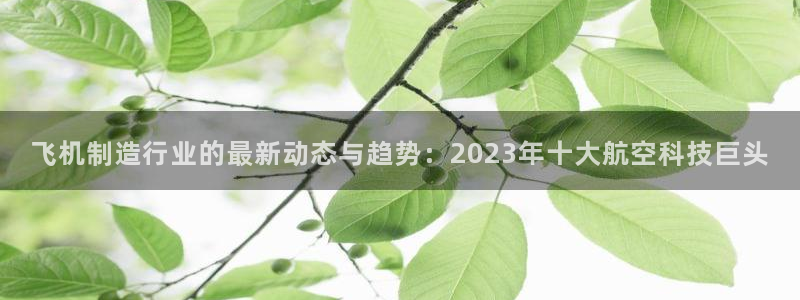彩神vip购彩大厅下载：飞机制造行业的最新动态与趋势：2023年十大航空科技巨头