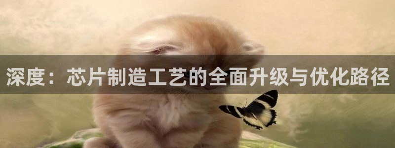 彩神vip购彩：深度：芯片制造工艺的全面升级与优化路径