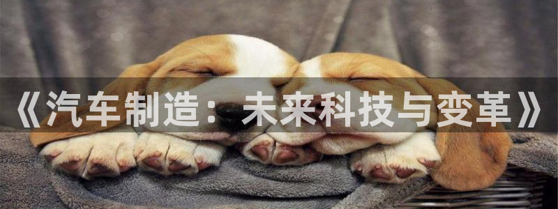 彩神ix是真的吗：《汽车制造：未来科技与变革》