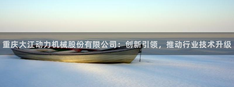 彩神旗下有哪些平台：重庆大江动力机械股份有限公司：创新引领，推动行业技术升级