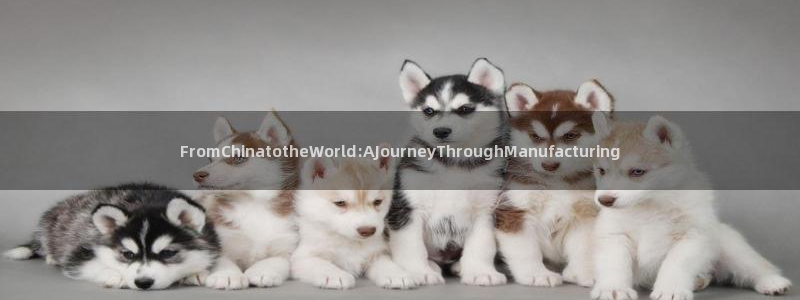 彩神旗下有哪些平台可以看：FromChinatotheWorld:AJourneyThroughManufac
